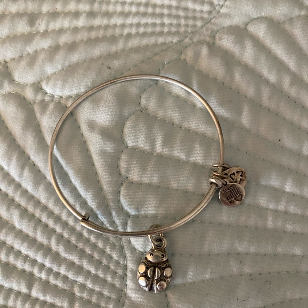 Alex and Ani adjustable Ladybug bracelet.  Silver metal